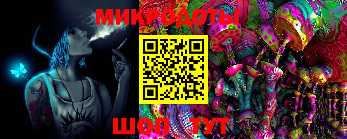 Галлюциногенные грибы Psilocybe Королёв